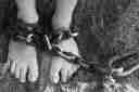 Human trafficking, child Human trafficking, woman trafficking, Human trafficking data, news24