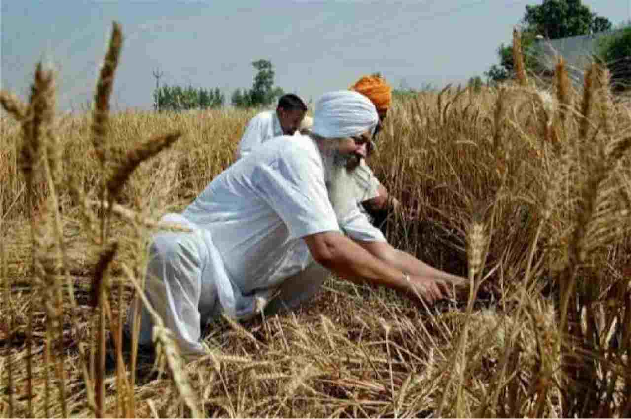 AAP, AAP PUNJAB, MEET HAYER, PUNJAB FARMER, NEWS24, INDIA NEWS
