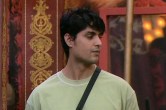 Bigg Boss 16