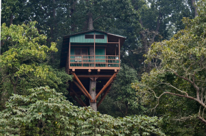 honeymoon destination