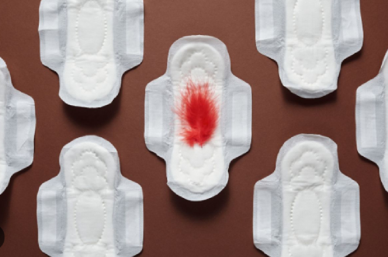paid menstrual leave
