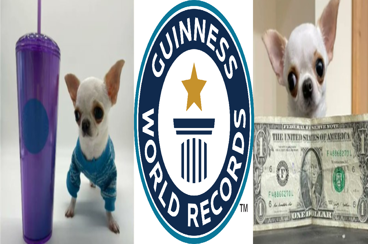 Guinness World Records