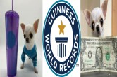 Guinness World Records
