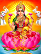 Goddess Lakshmi
