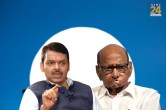 Maharashtra Politics