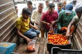 tomatoes price
