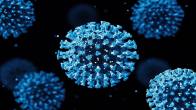 Andhra Pradesh On Red Alert As COVID-19 Cases Rise