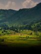 aaraku valley