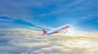 Air India's Delhi-Thiruvananthapuram Flight Suffers Bird Hit; Return Flight Cancelled After Safe Landing