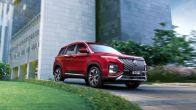 Mg-Hector