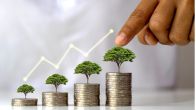 Tax Saving Fixed Deposits