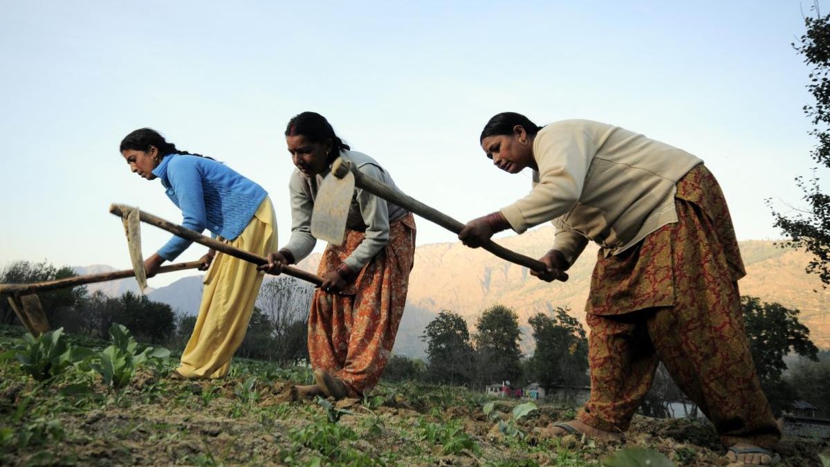 PM Kisan Yojana Alert: Farmers Must Get THIS Work Done By April 30 To Receive 20th Installment Of Scheme