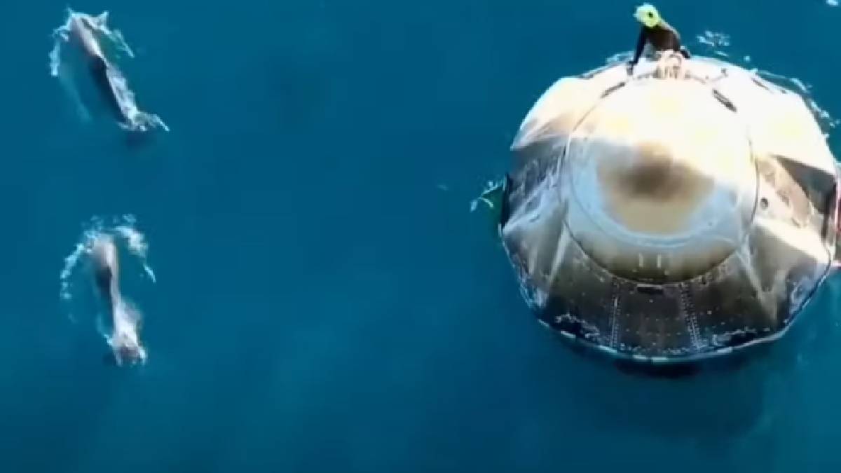 Dolphins welcome new shuttle