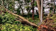 Himachal Pradesh: Six Killed, Several Injured in Kullu Landslide