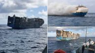 Cargo Ship Loaded With 3,000 Vehicles, Including EVs, Sinks In Pacific Ocean