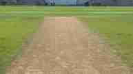 Edgbaston pitch report