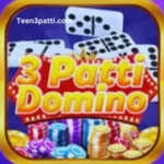 3Patti Domino APP